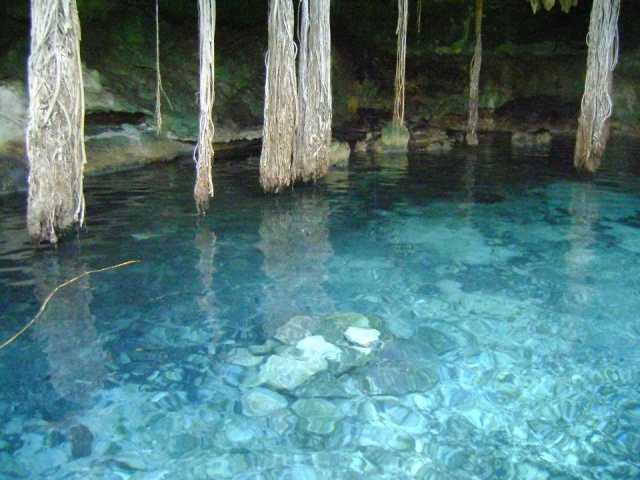 Naturaleza de Yucatan
